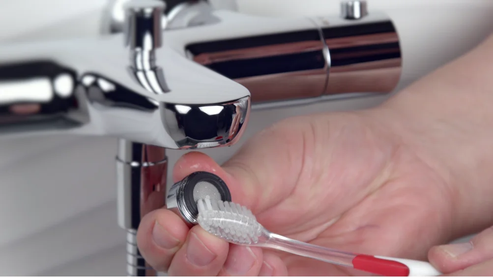 HANSAUNITA Bath and shower model Servicing the aerator